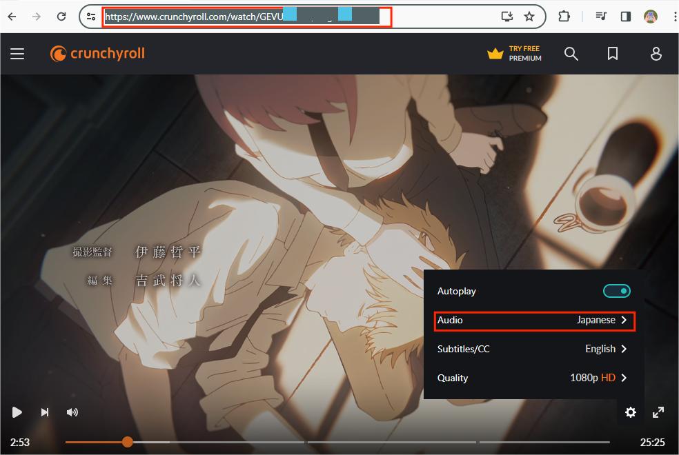 copy video url