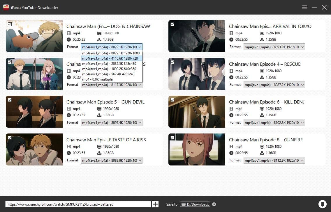 choose output video format